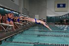 Swimming vs Babson  Wheaton College Swimming vs Babson College. - Photo By: KEITH NORDSTROM : Wheaton, Swimming, Babson